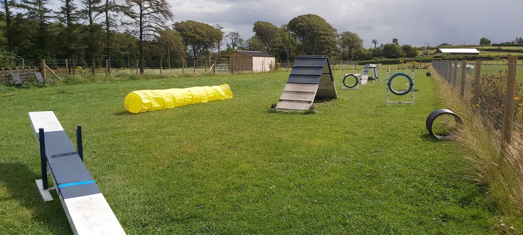 Dog Agility For Fun Beginners To Experienced Angelwood Lodge